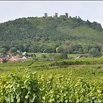 Bright Duplex With Balcony & Parking, 6 Guests, 5 Min From Colmar *