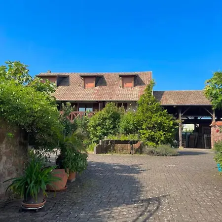 Alsappart, Grand Duplex Climatise Proche Colmar Apartamento *