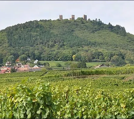 Alsappart, Grand Duplex Climatise Proche Colmar *