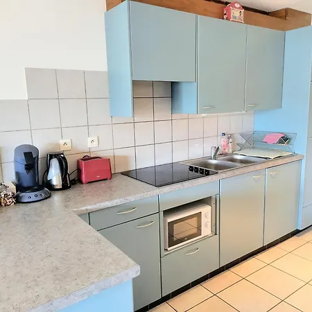 Alsappart, Grand Duplex Climatise Proche Colmar דירה